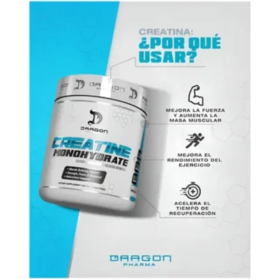 Dragon 1 LT